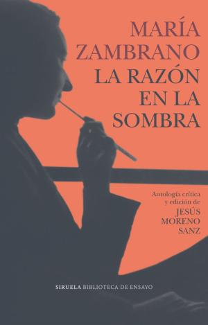 LA RAZON EN LA SOMBRA